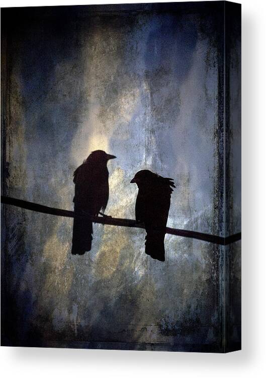Crow Canvas Print featuring the photograph Crows and Sky by Carol Leigh