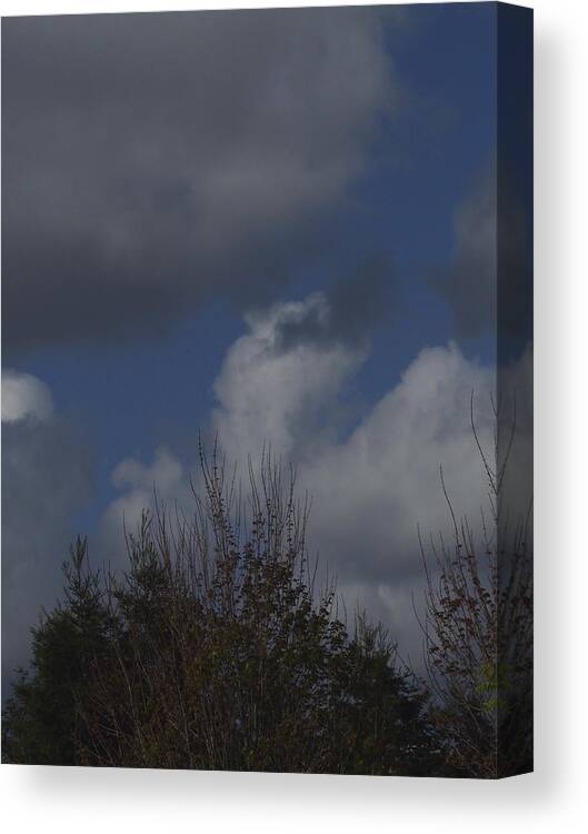  Canvas Print featuring the photograph Cumulus 13 and Trees by Richard Thomas