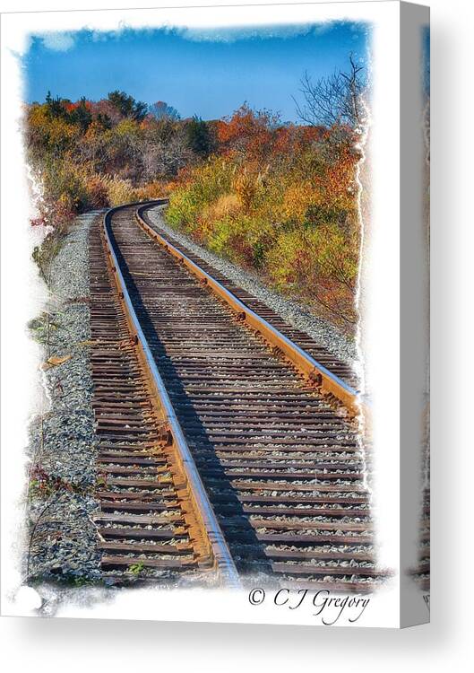 Cape Cod Canvas Print featuring the photograph Curved Track by Constantine Gregory