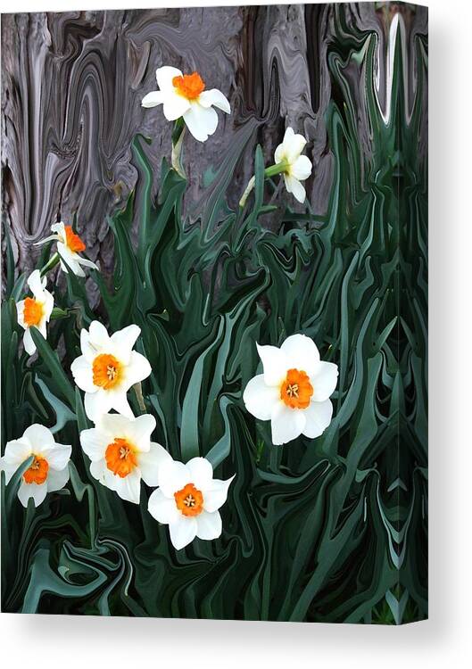 Flower Canvas Print featuring the photograph Daffodills by Jim Darnall