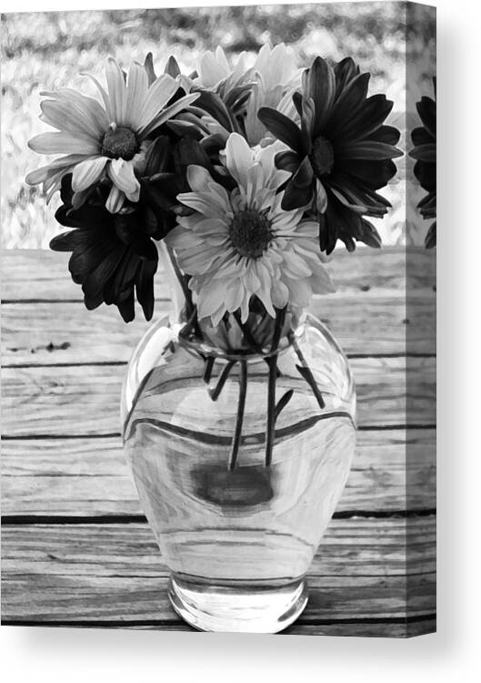 Daisy Canvas Print featuring the photograph Daisy Crazy BW by Angelina Tamez