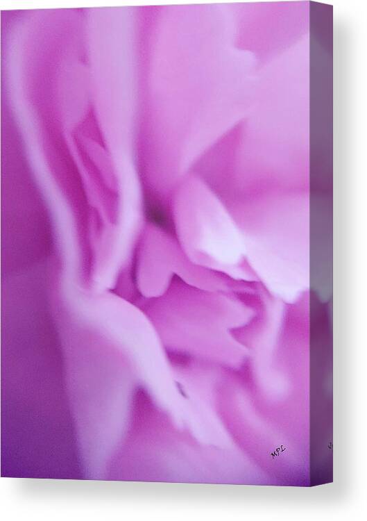 Macro Canvas Print featuring the photograph Delicate Pink by Marian Lonzetta