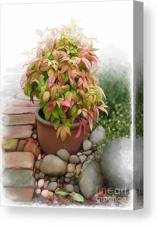 Nandina Firepower Canvas Print featuring the painting Dew on leaves by Ivana Westin