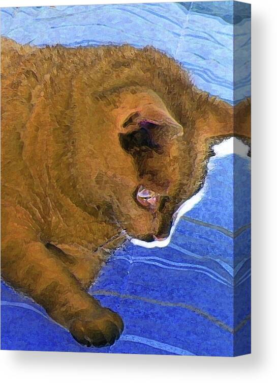 Abstract Canvas Print featuring the digital art Did Mean Cat Get under the Bed Again by Lenore Senior