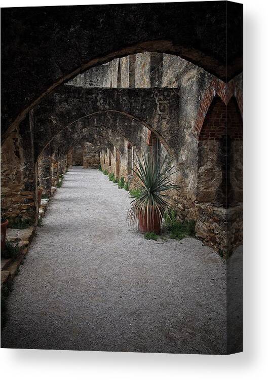Arched Canvas Print featuring the photograph Down the Arched Path by Buck Buchanan