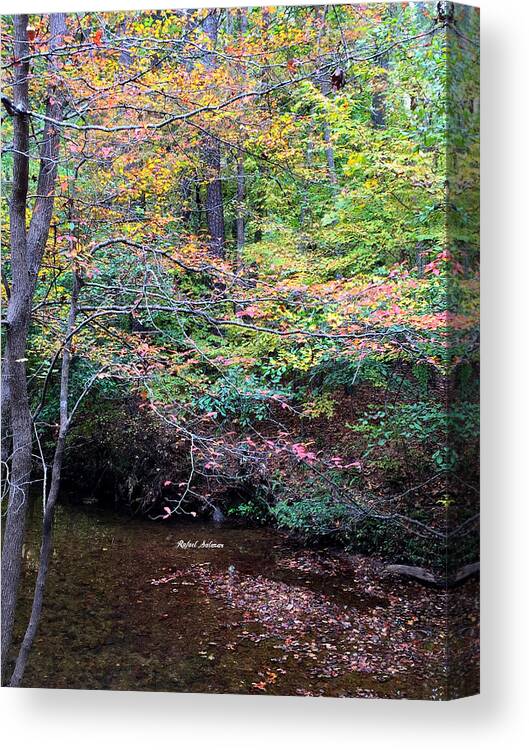 Woods Canvas Print featuring the photograph Dream Woods in Georgia by Rafael Salazar
