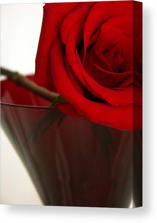 Rose Canvas Print featuring the photograph Dual reds by Thomas Pipia