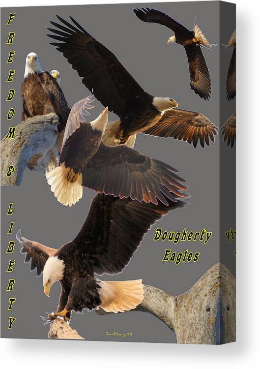  Canvas Print featuring the photograph Eagle T-Shirt by Bonfire Photography