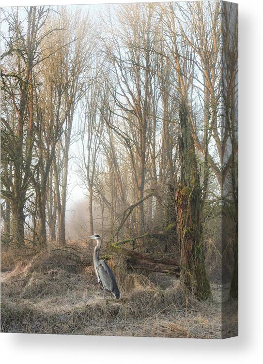 Woods Canvas Print featuring the photograph Early Morning in the Backwoods by Angie Vogel