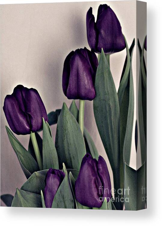 Flowers Canvas Print featuring the photograph A Display of Tulips by Sherry Hallemeier
