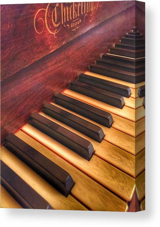 Keys Canvas Print featuring the photograph Ebony and Ivory by Jame Hayes