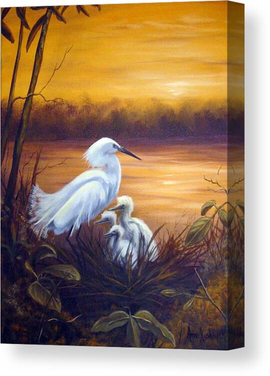 Birds Canvas Print featuring the painting Egret with Chicks by Anne Kushnick