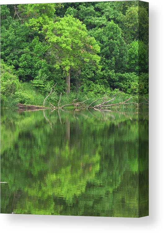 Trees Canvas Print featuring the photograph Emerald Green Reflections by Lori Frisch
