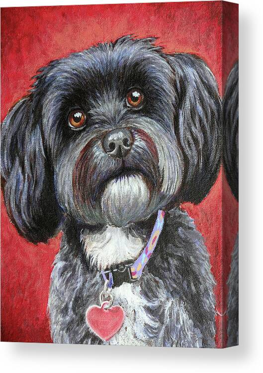 Havanese Portrait Canvas Print featuring the painting Emily by Ande Hall