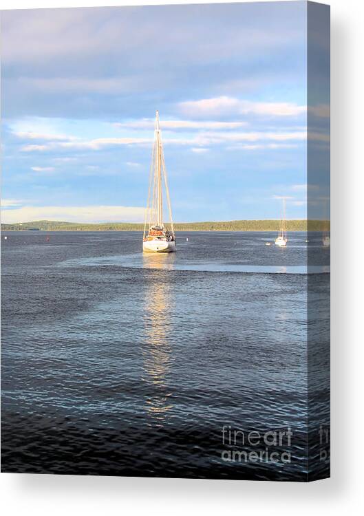Sailboat Canvas Print featuring the photograph Evening Sail in Frenchman's Bay by Elizabeth Dow
