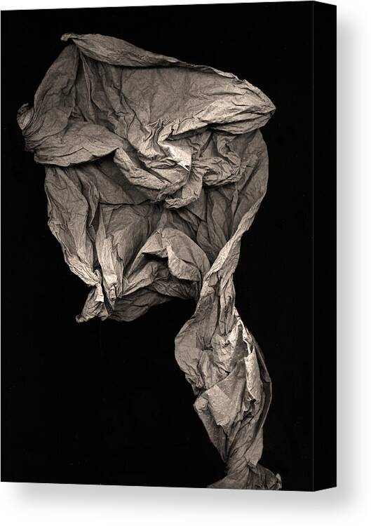 Evolution Canvas Print featuring the sculpture Evolve by Peter Cutler