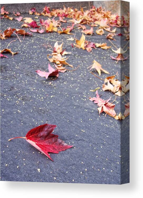 Leaves Canvas Print featuring the photograph Fallen by Donna Blackhall