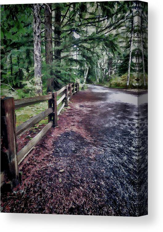 Wooden Fence Canvas Print featuring the digital art Fences In The Wilderness by Leslie Montgomery