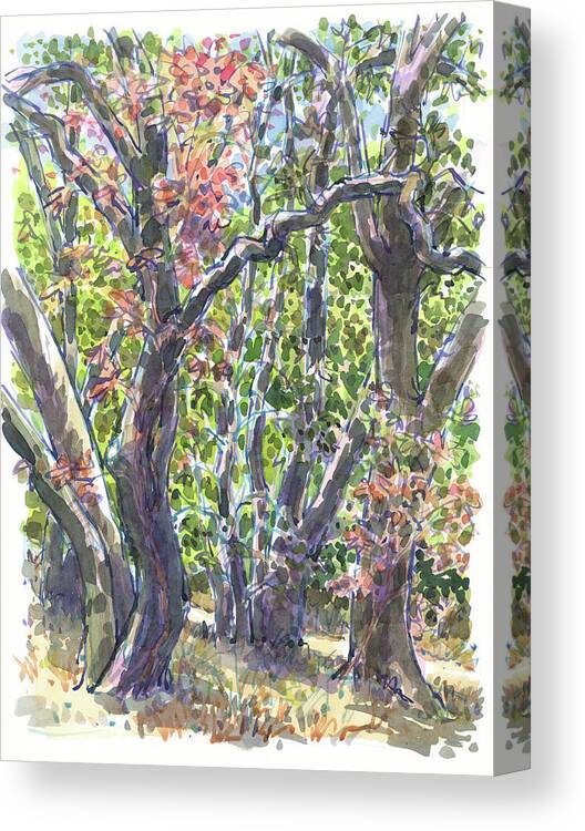 California Canvas Print featuring the painting First fall colors in the forest by Judith Kunzle