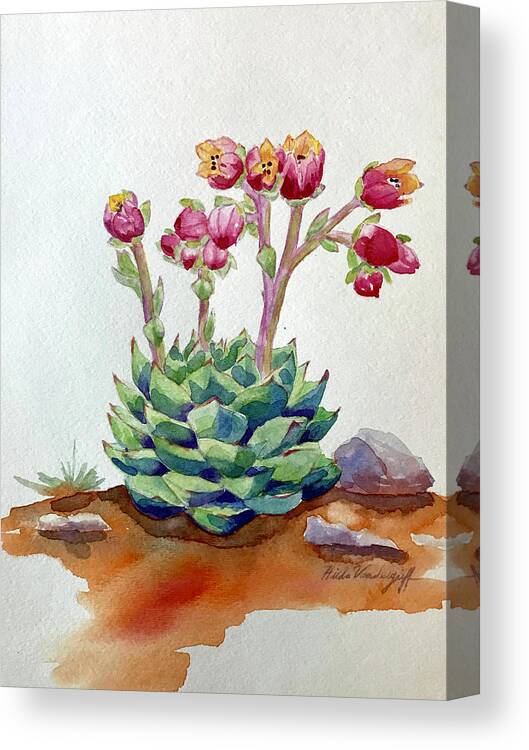 Succulent Canvas Print featuring the painting Flowering Succulent by Hilda Vandergriff