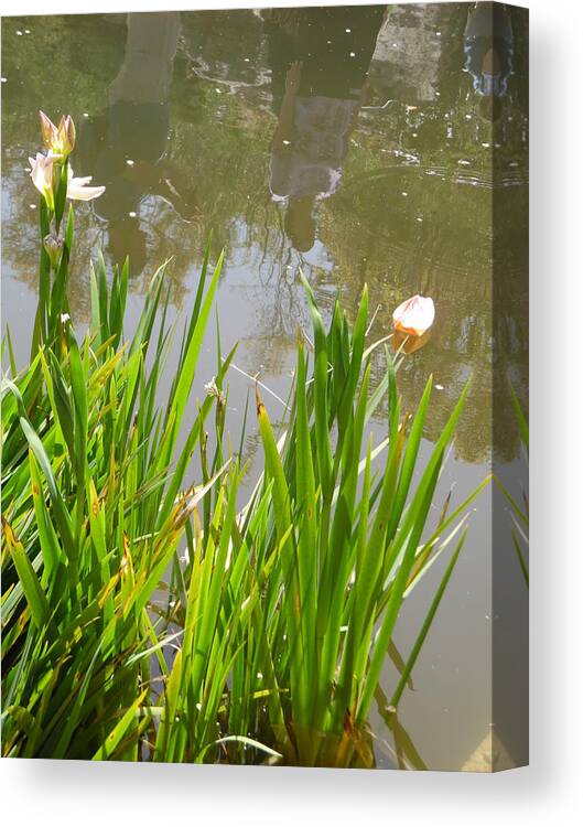 Flowers In The Water Canvas Print featuring the painting Flowers in the Water by Esther Newman-Cohen