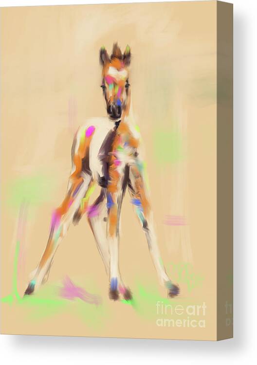 Foal Canvas Print featuring the painting Foal cute fellow by Go Van Kampen