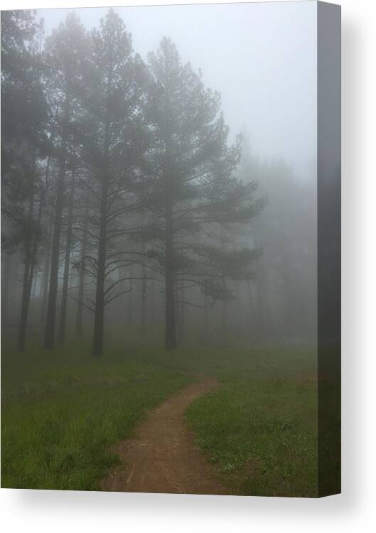 Landscape Canvas Print featuring the photograph Foggy Path by Scott Cunningham