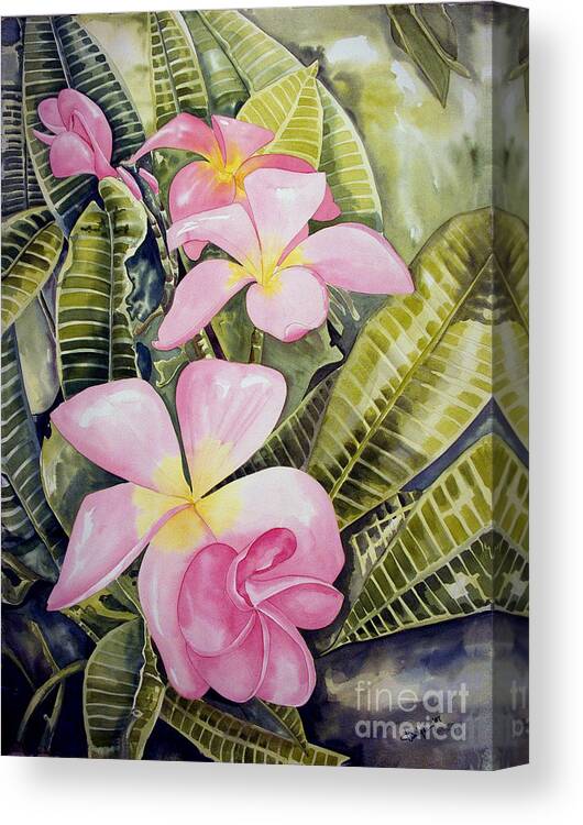 Floral Canvas Print featuring the painting Frangipani by Kandyce Waltensperger