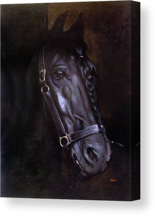 Acrylic Canvas Print featuring the painting Friesian by Christopher Reid