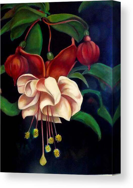 Fuchsias Pink And Green Canvas Print featuring the painting Fuchsias by Irena Mohr
