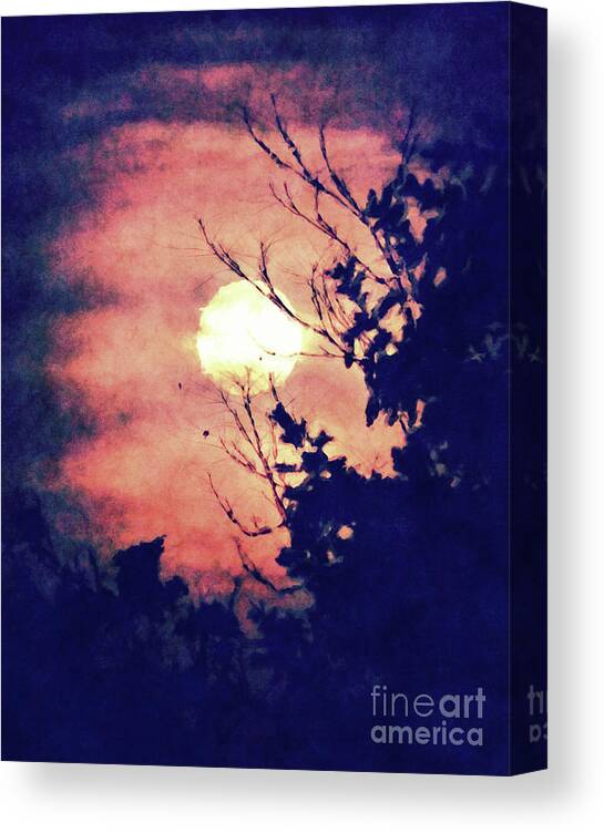 Moon Canvas Print featuring the digital art Full Moon Silhouette by Phil Perkins