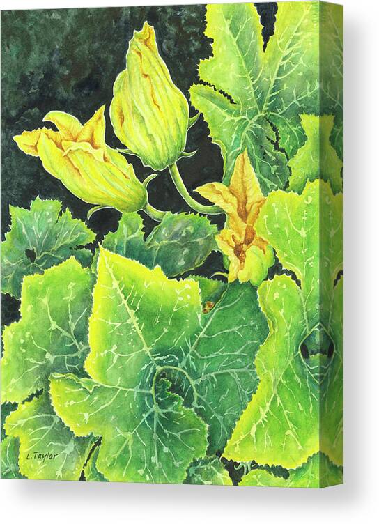 Zucchini Canvas Print featuring the painting Garden Glow by Lori Taylor