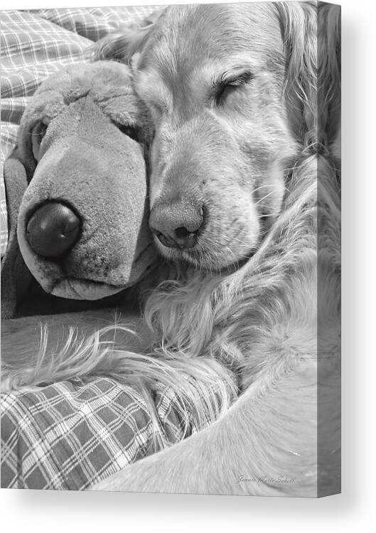 Golden Retriever Canvas Print featuring the photograph Golden Retriever Dog and Friend by Jennie Marie Schell
