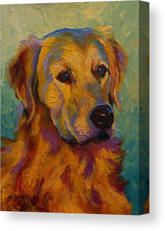 Golden Canvas Print featuring the painting Golden Retriever by Marion Rose
