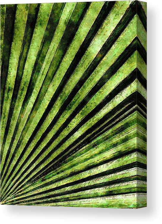 Palm Tree Canvas Print featuring the photograph Green Palm Tree Frond by Phil Perkins