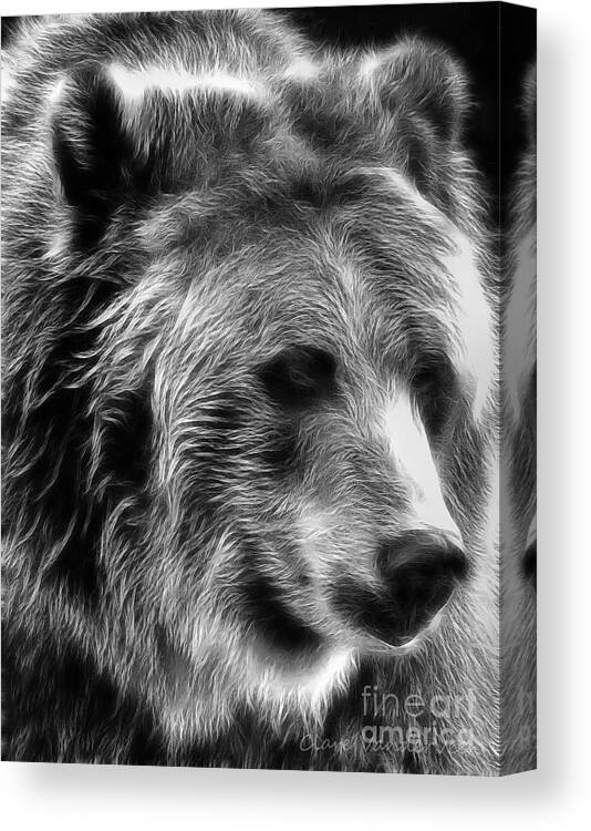 Bear Canvas Print featuring the photograph Grizzly by Clare VanderVeen