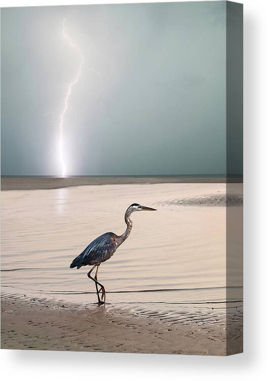 Lightning Canvas Print featuring the photograph Gulf Port Storm by Scott Cordell