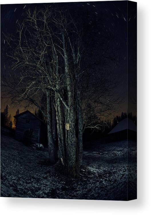 Finland Canvas Print featuring the photograph Hometree in the Universe by Jouko Lehto