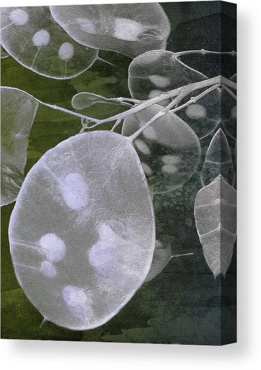 Money Canvas Print featuring the photograph Honesty V by Char Szabo-Perricelli
