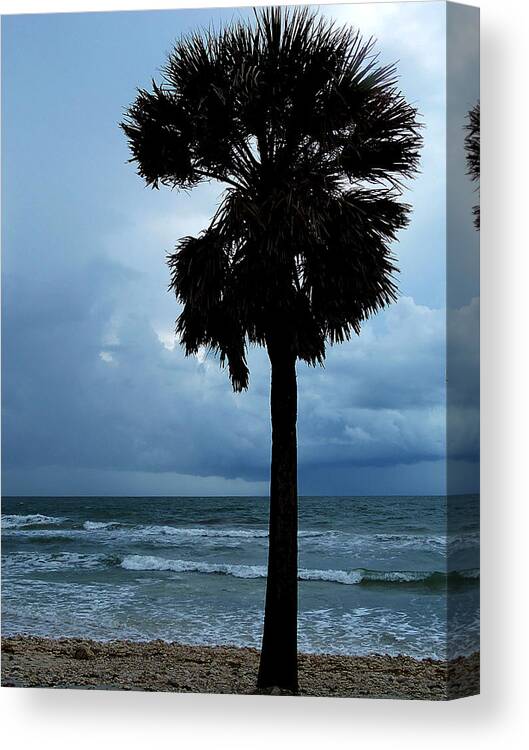 Landscape Photography Canvas Print featuring the photograph Honey Moon Island North Beach Palm 001 by Christopher Mercer