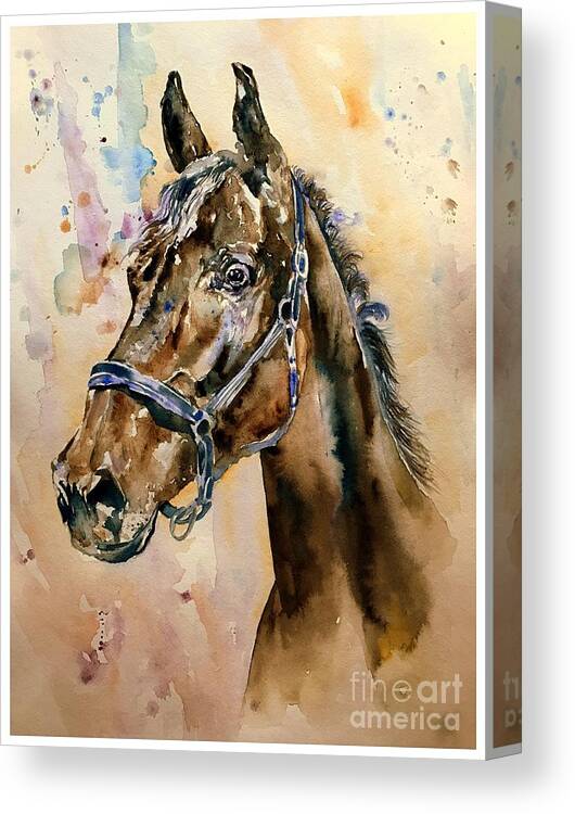 Horse Canvas Print featuring the painting Horse head by Suzann Sines