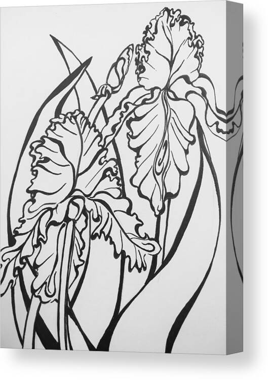 Pin Canvas Print featuring the drawing Iris by Mastiff Studios