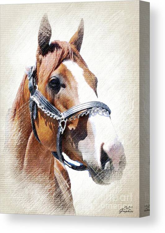 Justify Canvas Print featuring the digital art Justify by CAC Graphics