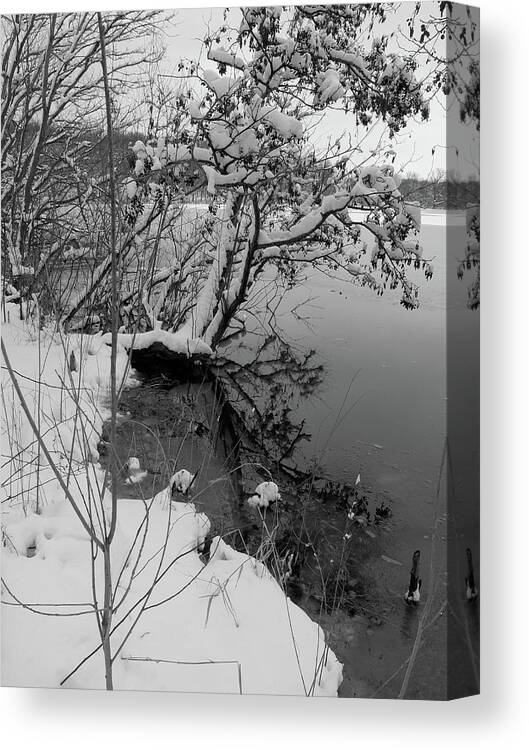 Lake Canvas Print featuring the photograph Laden with Winter by Scott Kingery