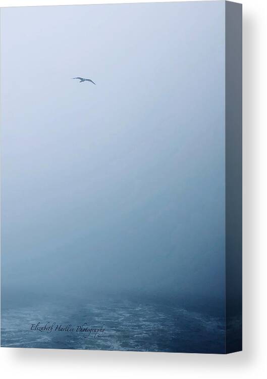  Canvas Print featuring the photograph Last Flight by Elizabeth Harllee