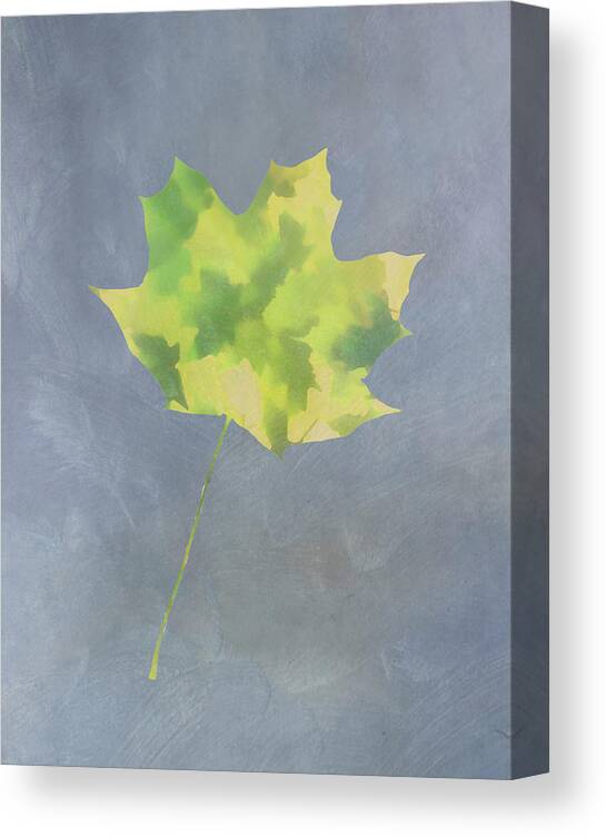 Maple Leaf Canvas Print featuring the photograph Leaves Through Maple Leaf On Texture 4 by Gary Slawsky