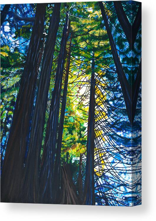  California Canvas Print featuring the painting Light in the Trees 40x30 by Santana Star