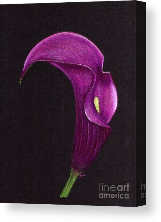 Lily Canvas Print featuring the painting Elegance by Ekta Gupta