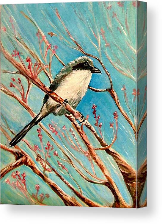 Loggerhead Shrike Canvas Print featuring the painting Loggerhead Shrike by Carol Allen Anfinsen