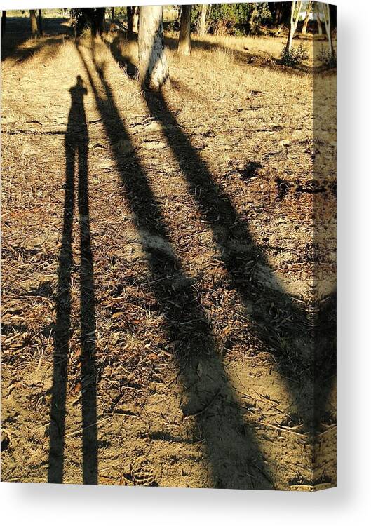 Shadows Canvas Print featuring the photograph Long Shadows by Liz Vernand